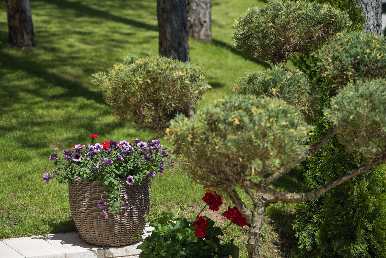 Hotel Mons Zlatibor Bagian luar foto